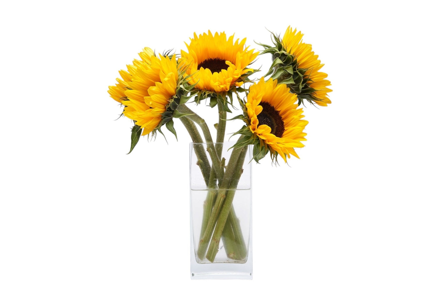 Sunflowers Bouquet in Vase - Fresh Bouquet Co.