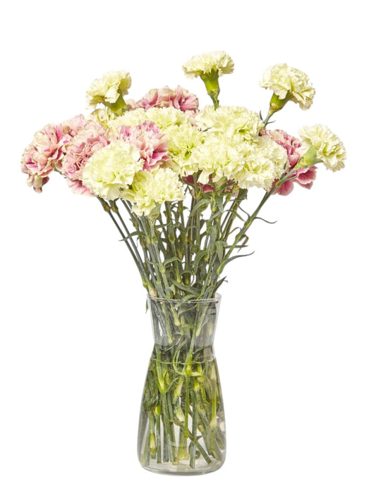 Vintage Pink & Green Carnation Bouquet in Vase - Fresh Bouquet Co.