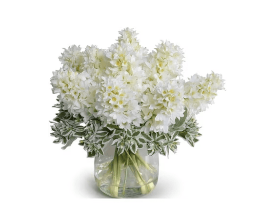 White Hyacinth & Pittosporum Bouquet in Vase - Fresh Bouquet Co.