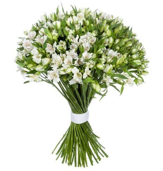 White Alstroemeria Bouquet