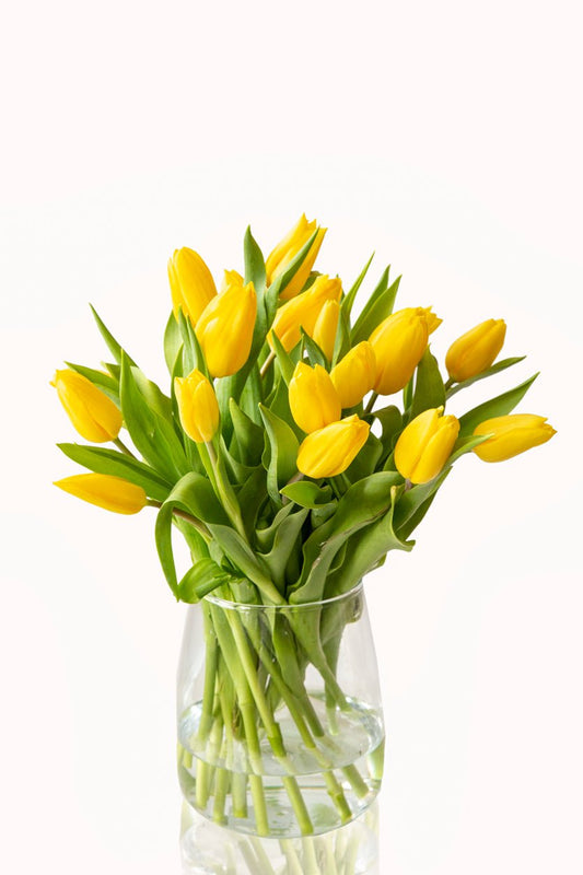 Yellow Tulips Bouquet in Vase - Fresh Bouquet Co.