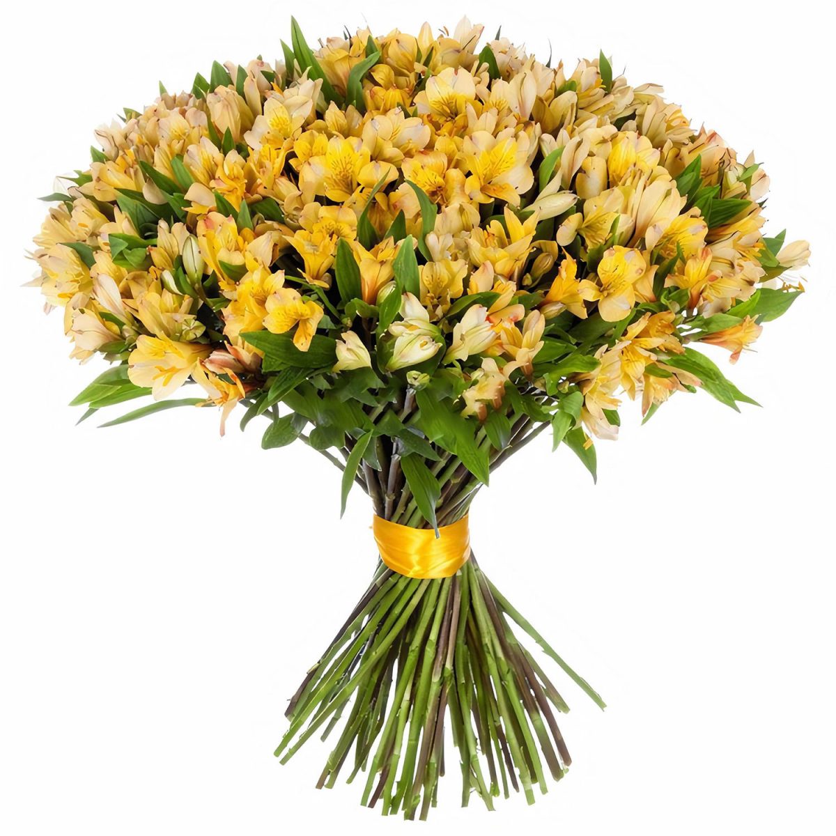 Yellow Alstroemeria Bouquet