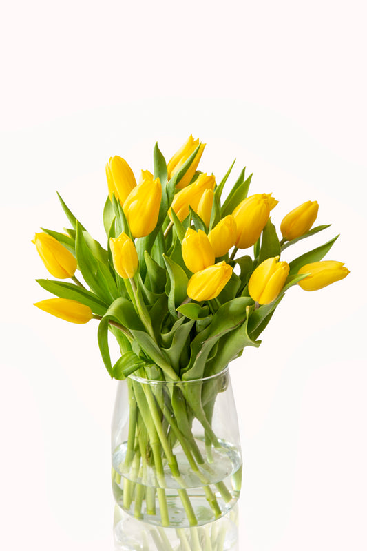 Yellow Tulips Bouquet in Vase